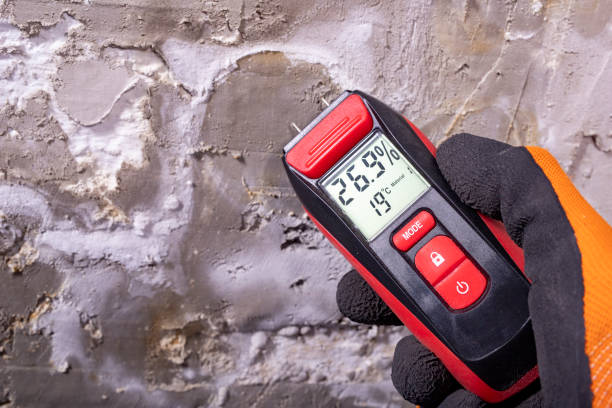 Best Mold Remediation for Schools in Hewlett, NY
